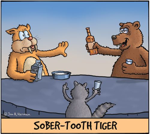 Sober Tooth Tiger