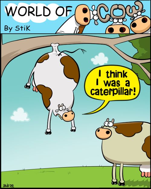 "I think I was a caterpillar!"