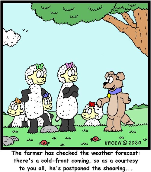 "The farmer has checked the weather forecast: there's a cold-front coming, so as a courtesy to you all, he's postponed the shearing..."