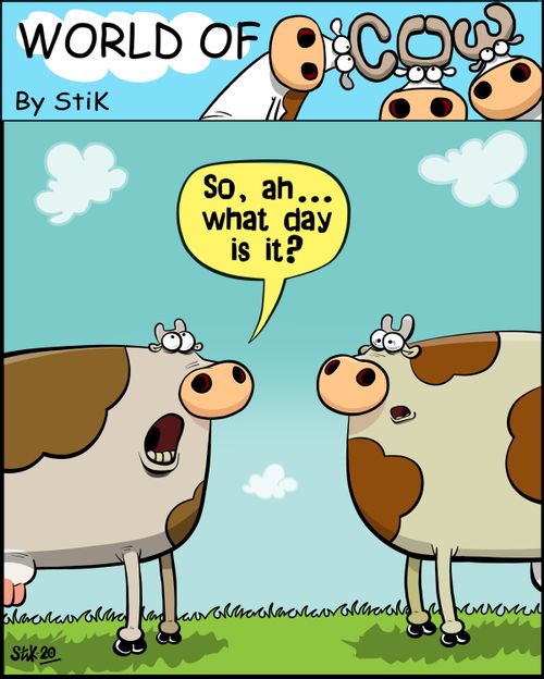 "So, ah...what day is it?"