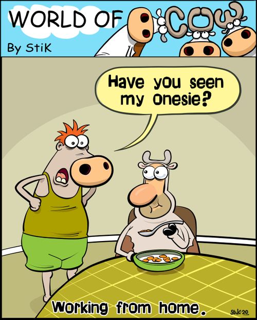 "Have you seen my onesie?"