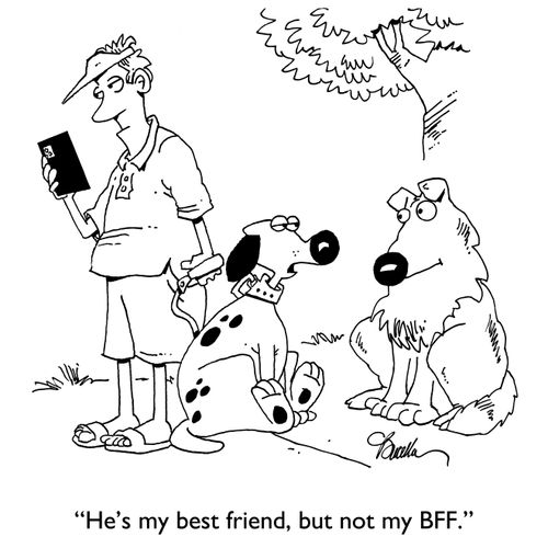 "He's my best friend, but not my BFF."