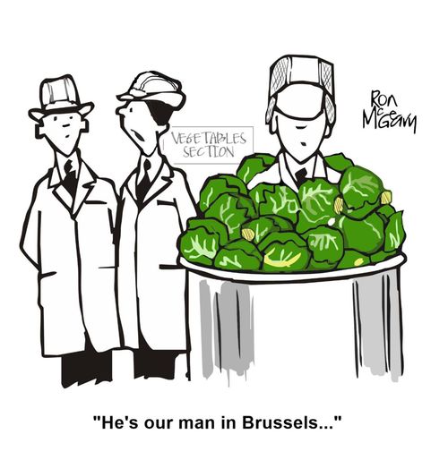 "He's our man in Brussels. . ."