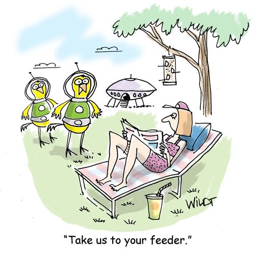 "Take us to your feeder."