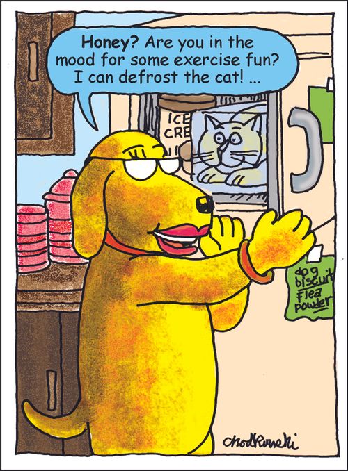 "Honey? Are you in the mood for some exercise fun? I can defrost the cat!. . ."