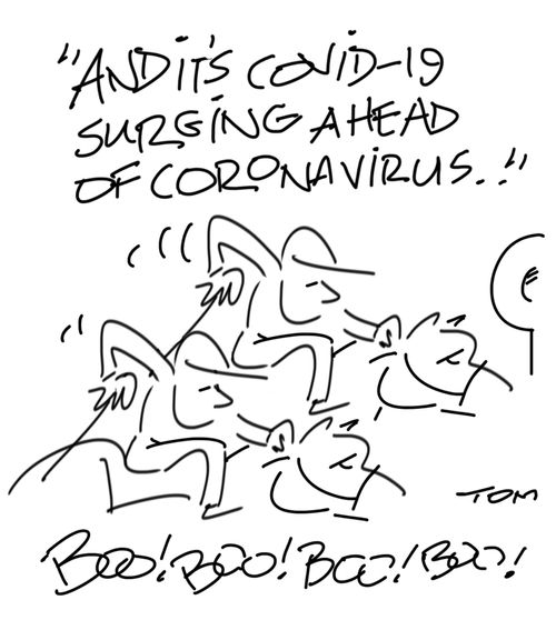 COVID - 19 versus coronavirus.