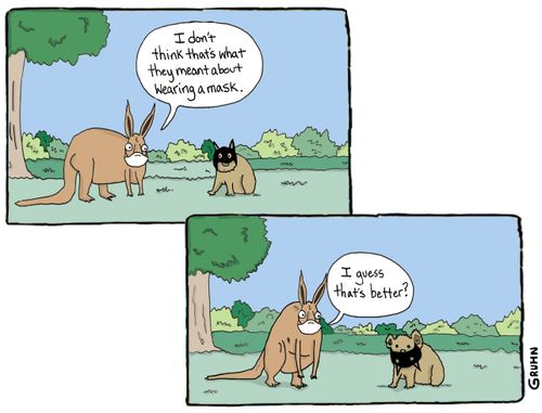 "I don't think that's what they meant about wearing a mask."