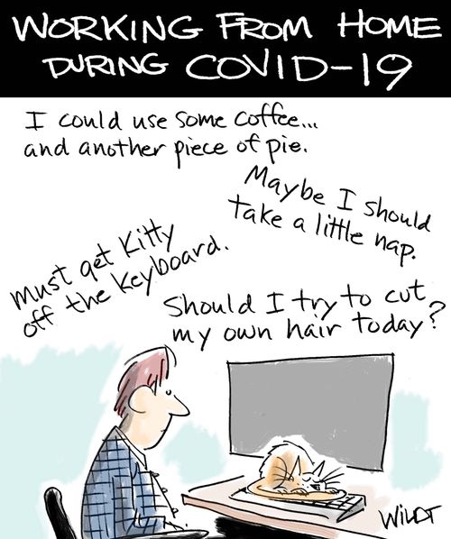 Working from Home during COVID-19