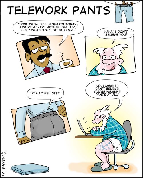Telework Pants