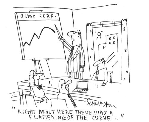 "Right about here there was a flattening of the curve. . ."