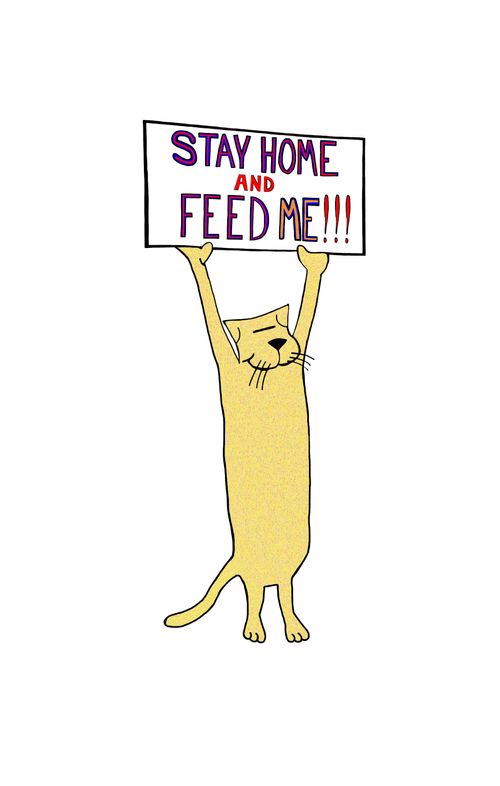 Stay Home And Feed Me!!!