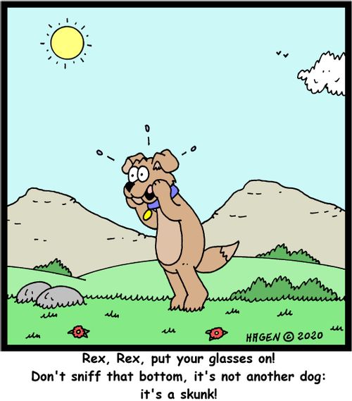 "Rex, Rex, put your glasses on! Don't sniff that bottom, it's not another dog: it's a skunk!"