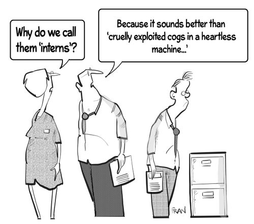 "Why do we call them 'interns'?"