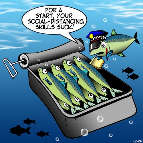 "For a start, your social-distancing skills suck!"