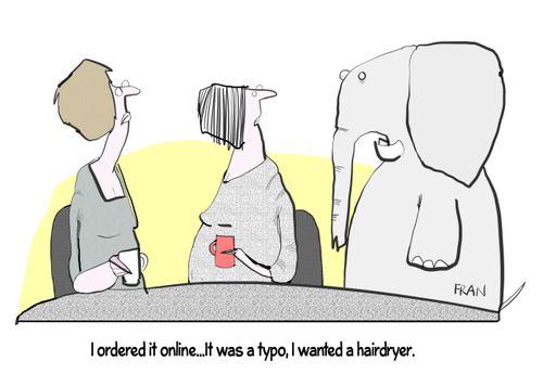 "I ordered it online. . . it was a typo, I wanted a  hairdryer."