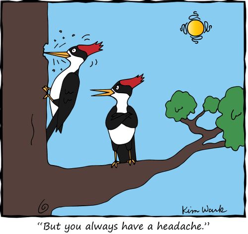 "But you always have a headache."