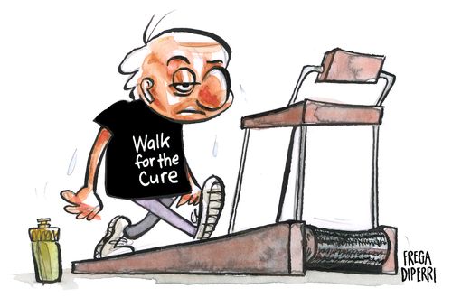 Walk for the Cure