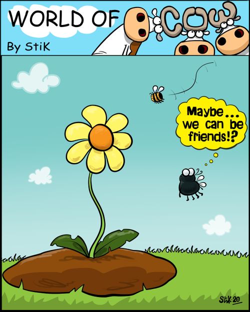 "Maybe...we can be friends!?"