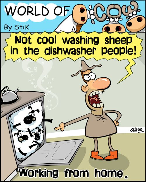 "Not cool washing sheep in the dishwasher people!"