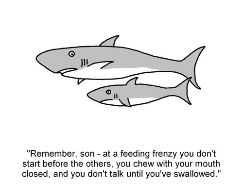 "Remember, son - at a feeding frenzy you don't start before the others, you chew with your mouth closed, and you don't talk until you've swallowed."