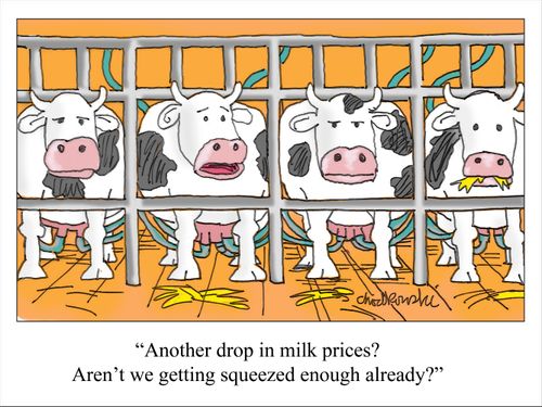 "Another drop in milk prices? Aren't we getting squeezed enough already?"