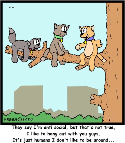 "They say I'm anti social, but that's not true, I like to hang out with you guys. It's just humans I don't like to be around..."