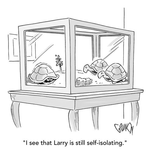 "I see that Larry is still self-isolating."
