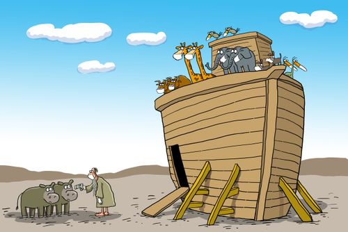 Noah's Ark