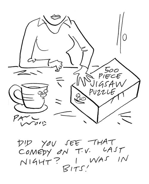 "Did you see that comedy on T.V. last night? I was in bits!"
