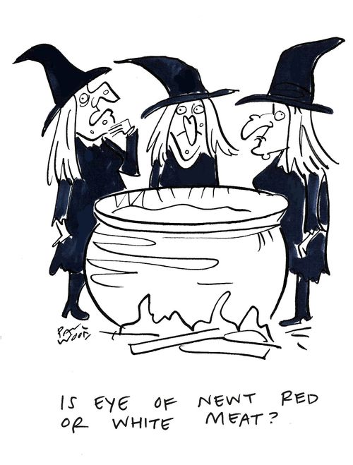 "Is eye of newt red or white meat?"