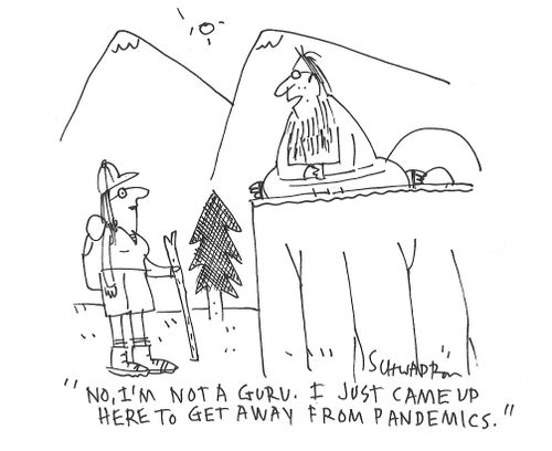 "No, I'm not a guru. I just came up here to get away from pandemics."