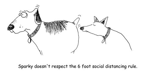 Sparky doesn't respect the 6 foot social distancing rule.