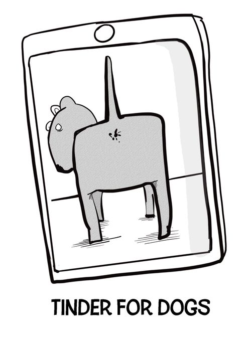 Tinder for dogs