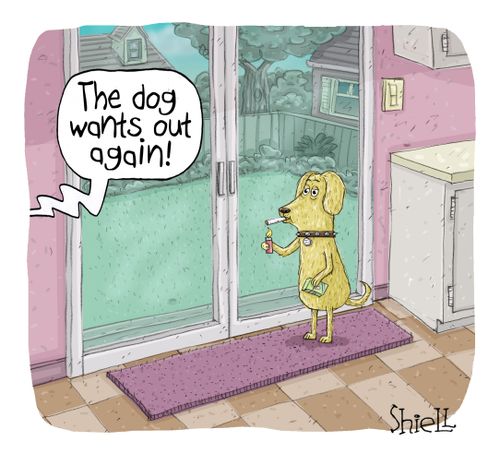 "The dog wants out again!"