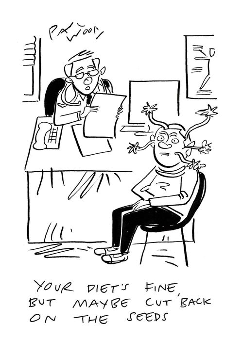 "Your diet's fine, but maybe cut back on the seeds."