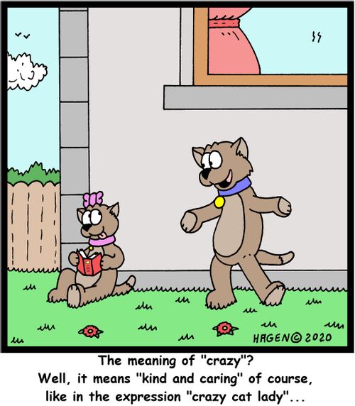 "The meaning of "crazy"? Well, it means "kind and caring" of course, like in the expression "crazy cat lady"..."