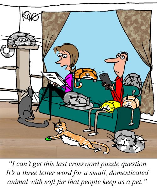 "I can't get this last crossword puzzle question. It's a three letter word for a small, domesticated animal with soft fur that people keep as a pet."