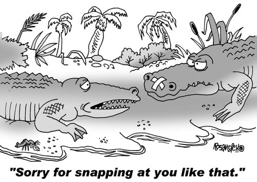 "Sorry for snapping at you like that."