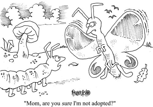 "Mom, are you sure I'm not adopted?"