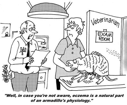 "Well, in case you're not aware, eczema is a natural part of an armadillo's physiology."