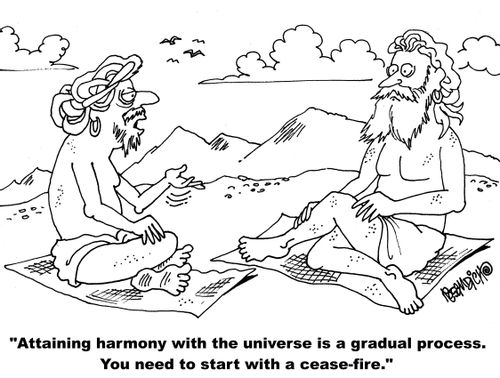 "Attaining harmony with the universe is a gradual process. You need to start with a cease-fire."