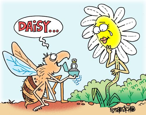 "Daisy. . ."