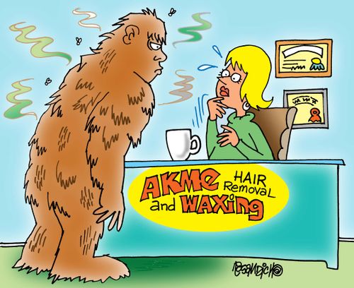 Akme Hair Removal and Waxing
