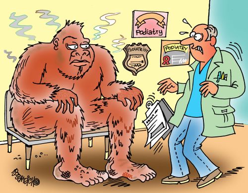 Bigfoot at the Podiatrist