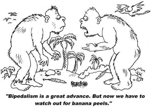 "Bipedalism is a great advance. But now we have to watch out for banana peels."