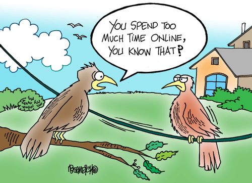 "You spend too much time online, you know that?"