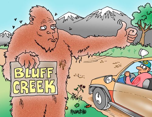 Bluff Creek