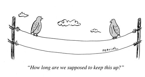 "How long are we supposed to keep this up?"