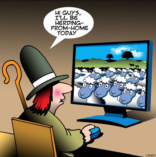 "Hi guys, I'll be herding-from-home-today."