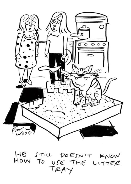 "He still doesn't know how to use the litter tray."
